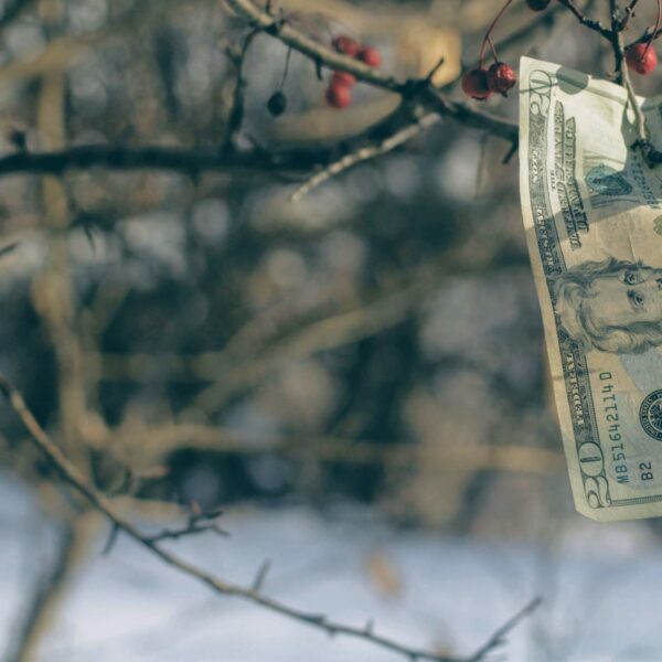 Office Of The Comptroller Of The Currency OCC