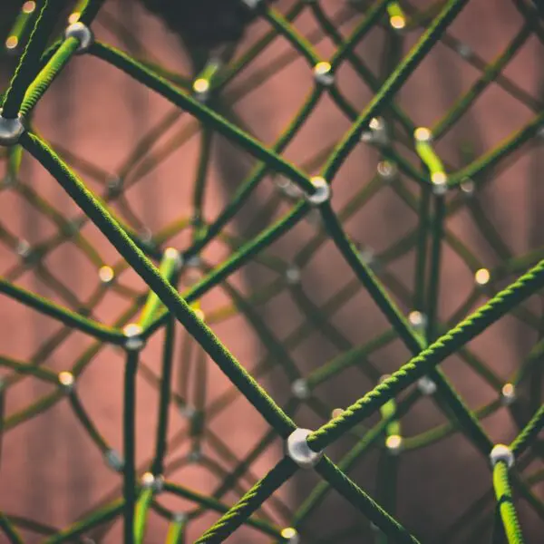 RCAs Relatives and Close Associates