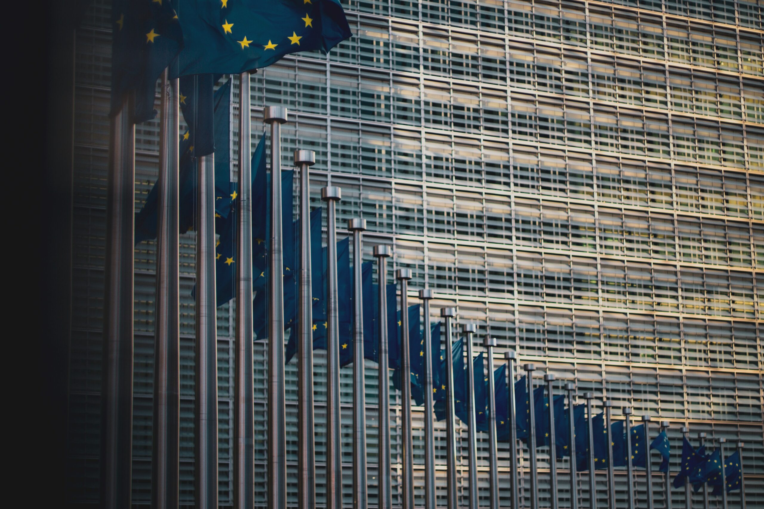 EU flags: list of eu sanctions