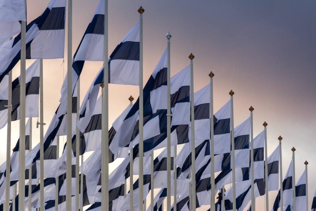 Anti Money Laundering Finland : Flags