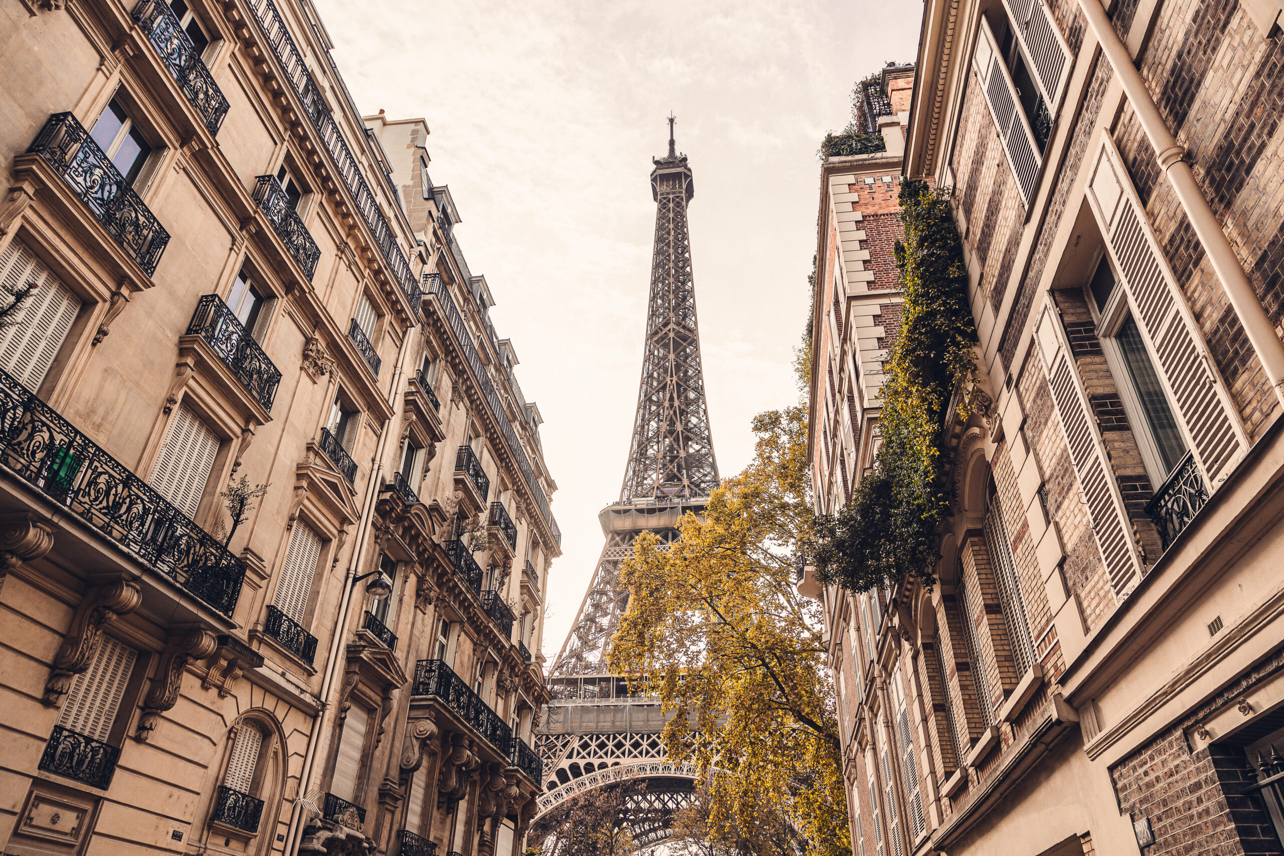 FATF plenary June 2026: Grey list changes, a payment transparency consultation, and the incoming UK Presidency